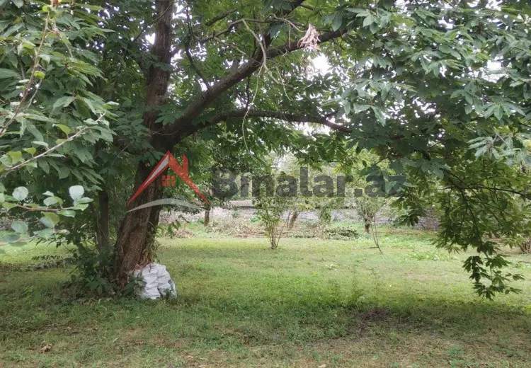 3 600 AZN - 31 sot Torpaq Satılır, Qəbələ