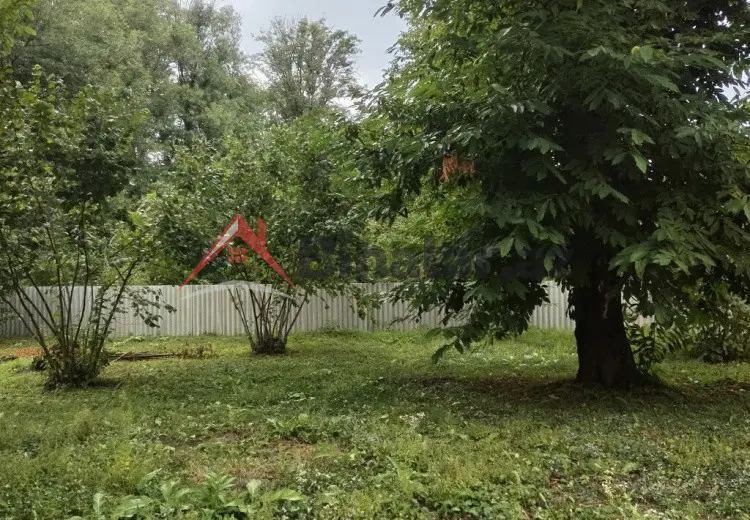 3 600 AZN - 31 sot Torpaq Satılır, Qəbələ