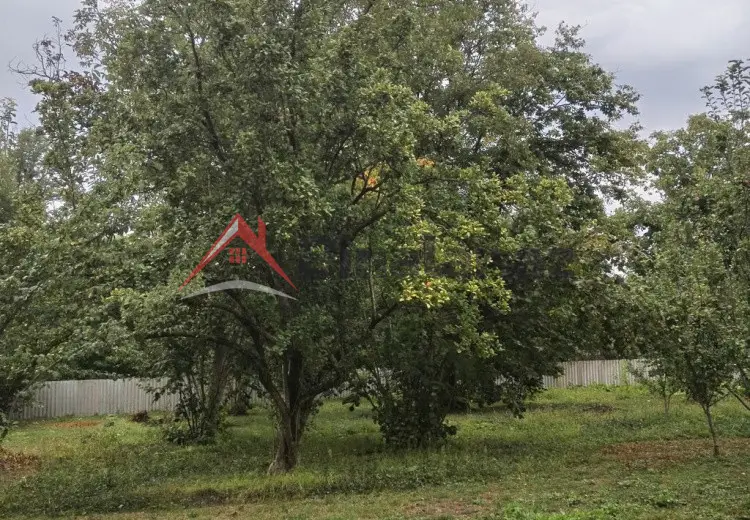 3 600 AZN - 31 sot Torpaq Satılır, Qəbələ