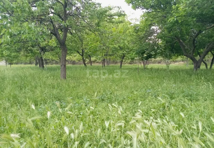 55 000 AZN - 5 otaqlı mənzil , Bərdə