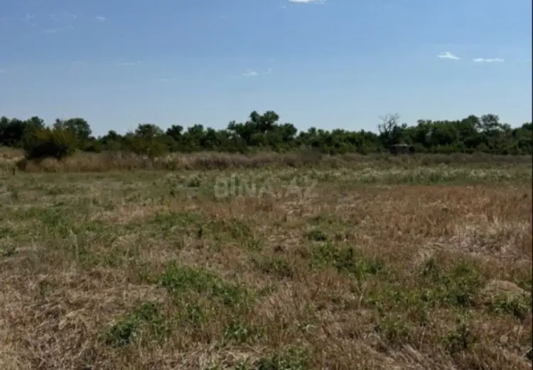 45 000 AZN - 360 sot Torpaq Satılır, Xaçmaz