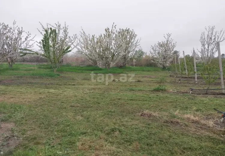 220 000 AZN - 0 m² Obyekt / Ofis , Xaçmaz