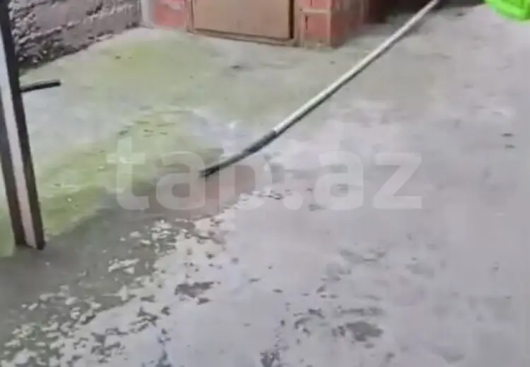 250 AZN - 2 otaqlı mənzil Kirayə (aylıq), Gəncə