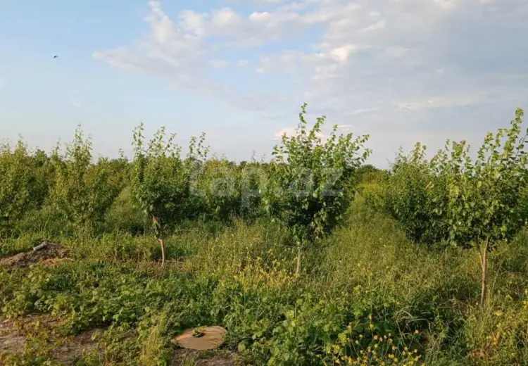 325 000 AZN - 0 m² Obyekt / Ofis , Quba