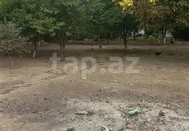 60 000 AZN - 4 otaqlı mənzil , Yevlax