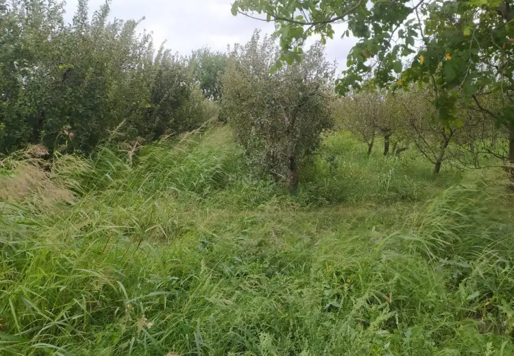 36 000 AZN - 90 sot Torpaq Satılır, Quba