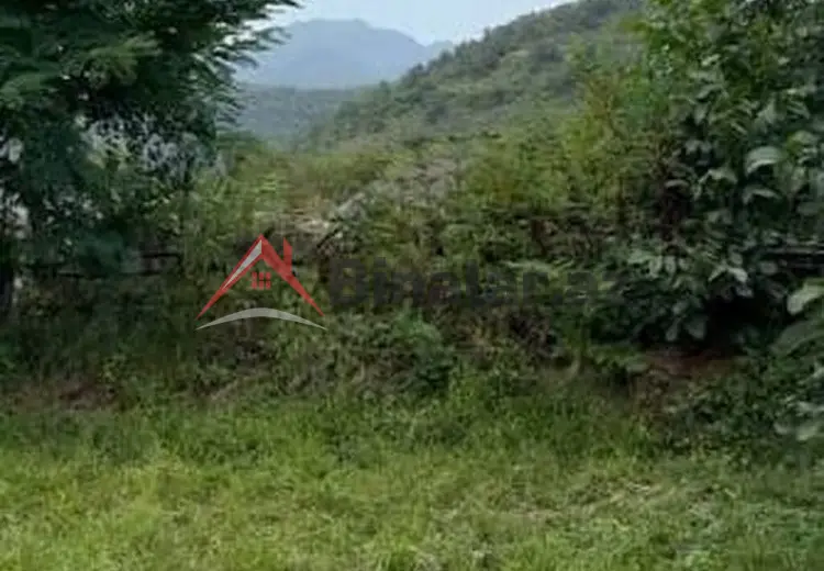 2 500 AZN - 0 sot Torpaq Satılır, Qəbələ