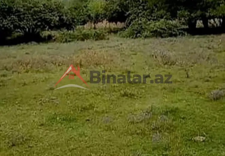 2 500 AZN - 0 sot Torpaq Satılır, Qəbələ