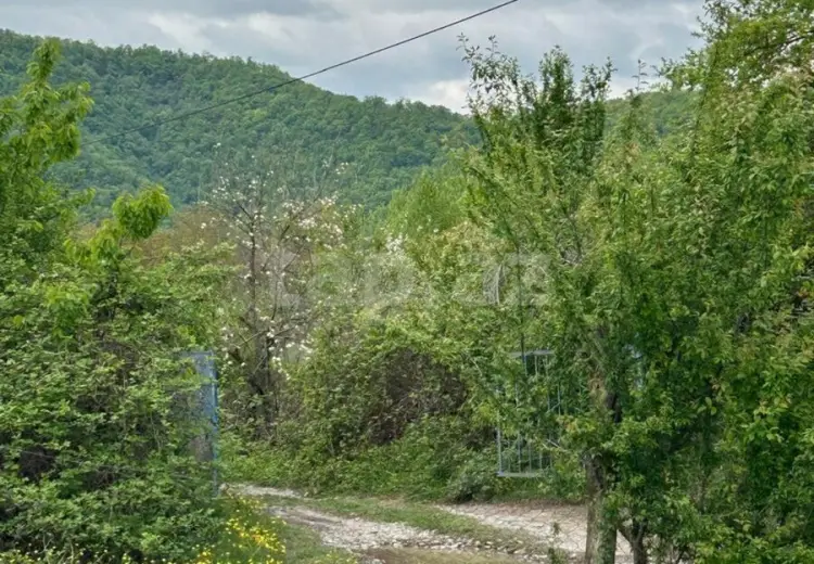 95 000 AZN - 0 m² Obyekt / Ofis , Qəbələ