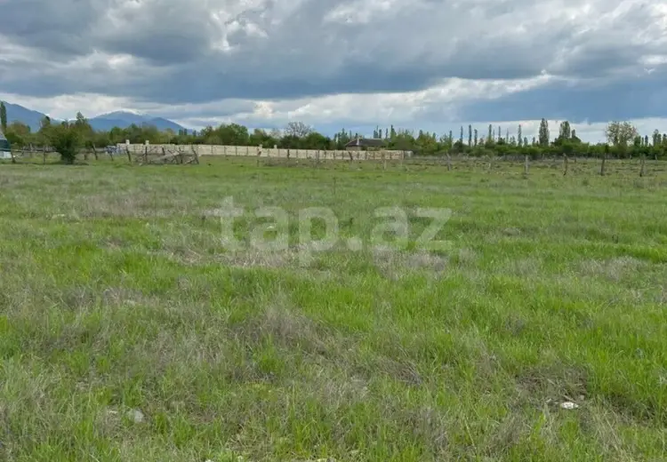 95 000 AZN - 0 m² Obyekt / Ofis , Qəbələ