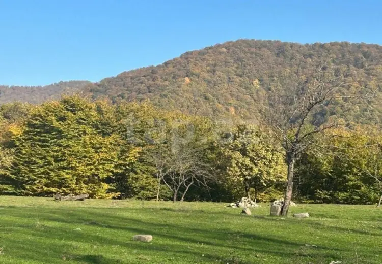 17 000 AZN - 0 m² Obyekt / Ofis , Qəbələ