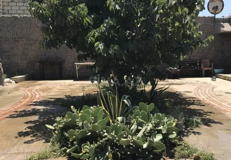 500 AZN - 2 otaqlı mənzil Kirayə (aylıq), Kürdəxanı qəs., Sabunçu, Bakı