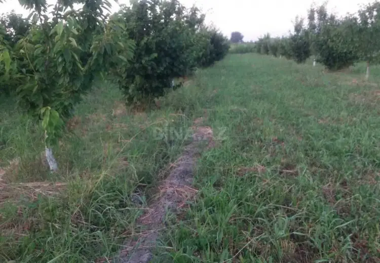 42 000 AZN - 100 sot Torpaq Satılır, Xaçmaz