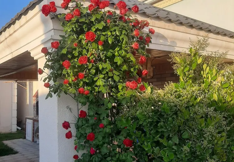650 AZN - 3 otaqlı mənzil Kirayə (aylıq), Şüvəlan, Xəzər, Bakı