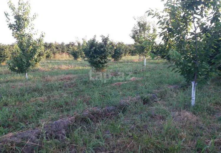 42 000 AZN - 0 m² Obyekt / Ofis , Xaçmaz