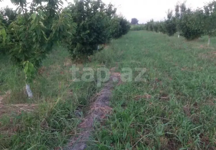 42 000 AZN - 0 m² Obyekt / Ofis , Xaçmaz