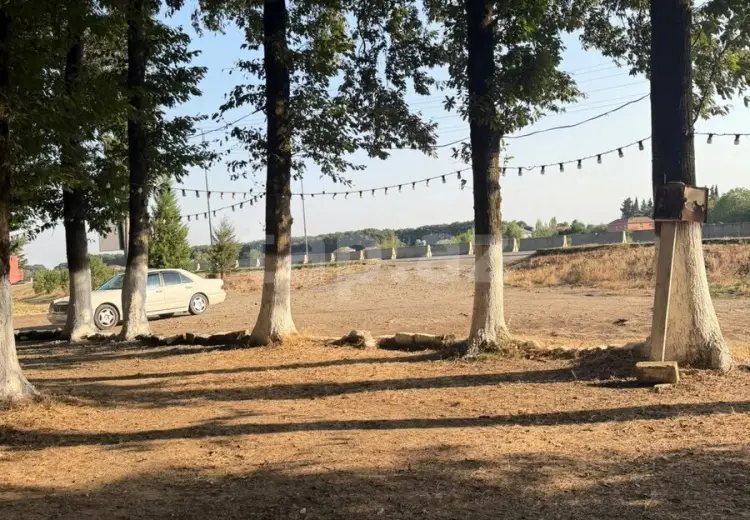 60 000 AZN - 0 m² Obyekt / Ofis , Masallı