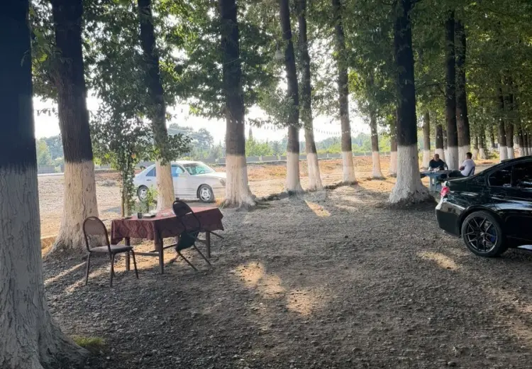 60 000 AZN - 0 m² Obyekt / Ofis , Masallı