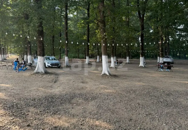 60 000 AZN - 0 m² Obyekt / Ofis , Masallı