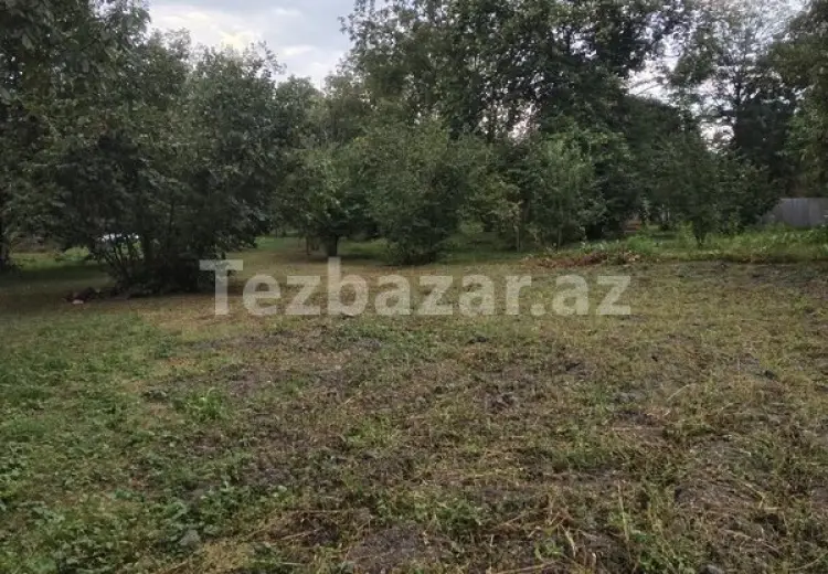 3 600 AZN - 0 sot Torpaq Satılır, Qəbələ