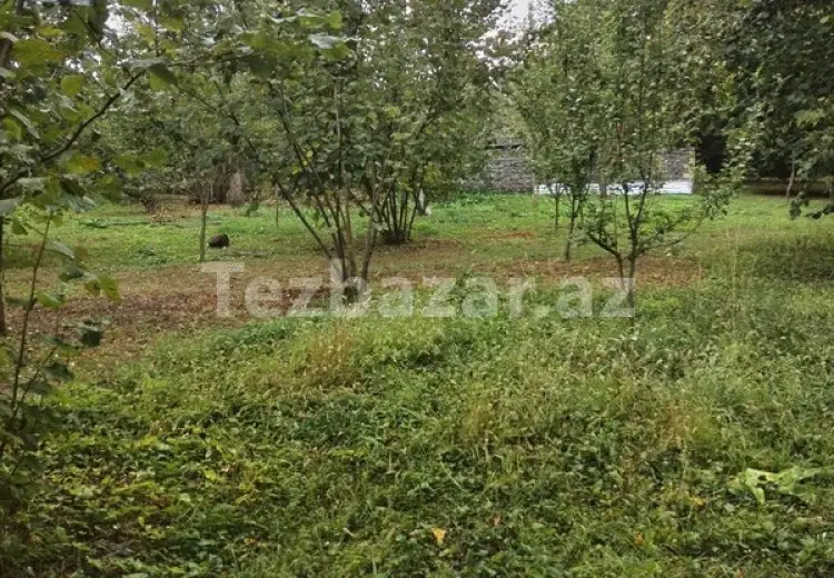 3 600 AZN - 0 sot Torpaq Satılır, Qəbələ