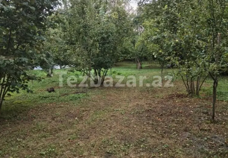 3 600 AZN - 0 sot Torpaq Satılır, Qəbələ