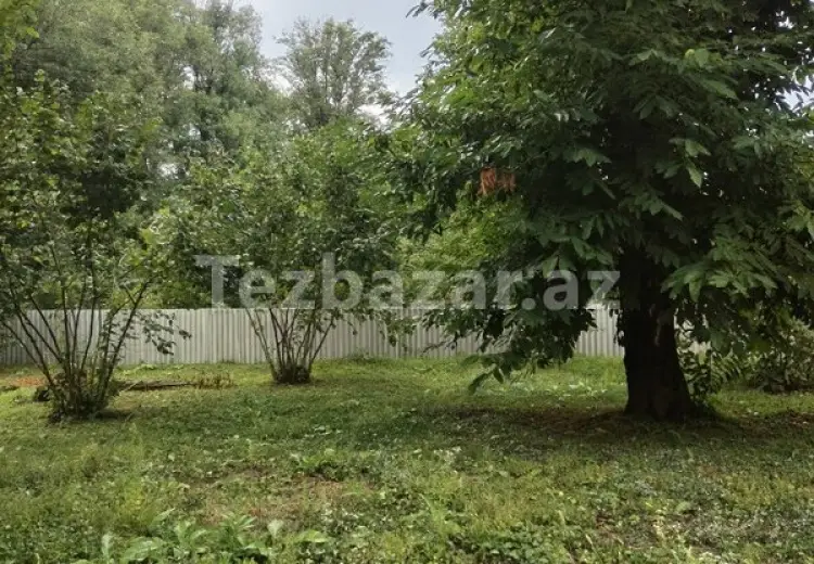 3 600 AZN - 0 sot Torpaq Satılır, Qəbələ