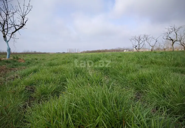 65 000 AZN - 0 m² Obyekt / Ofis , Xaçmaz