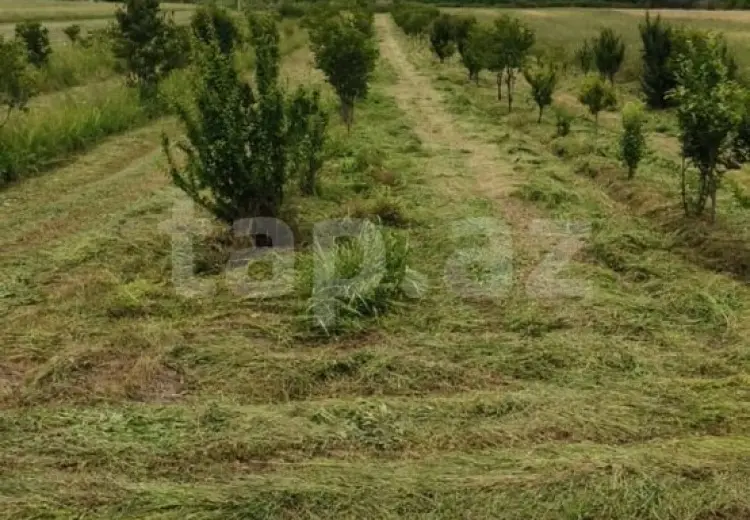 55 000 AZN - 0 m² Obyekt / Ofis , Mingəçevir