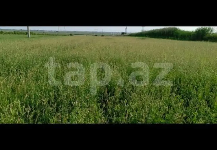 55 000 AZN - 0 m² Obyekt / Ofis , Mingəçevir