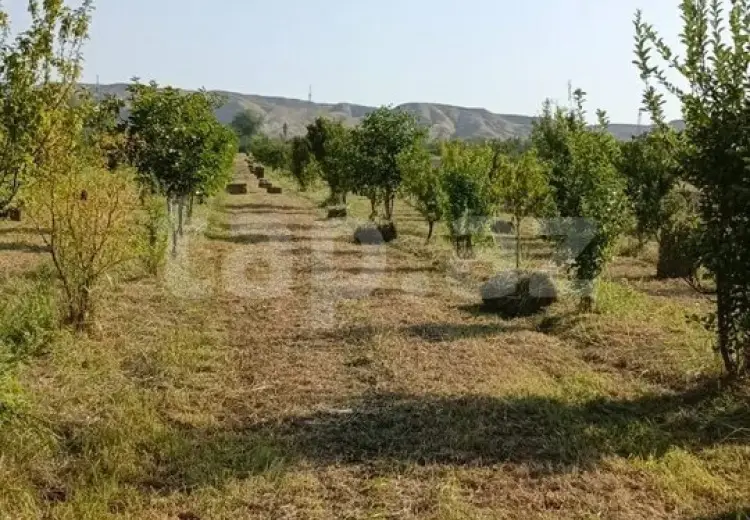 55 000 AZN - 0 m² Obyekt / Ofis , Mingəçevir