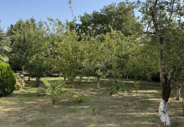 5 300 AZN - 8 sot Torpaq Satılır, İsmayıllı