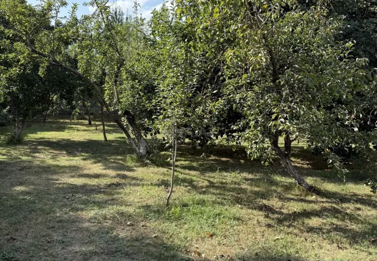 5 300 AZN - 8 sot Torpaq Satılır, İsmayıllı