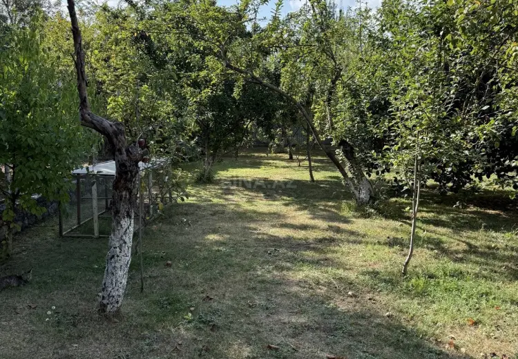 5 300 AZN - 8 sot Torpaq Satılır, İsmayıllı