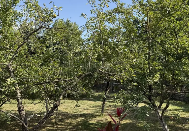 5 300 AZN - 8 sot Torpaq Satılır, İsmayıllı