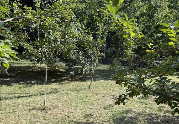 5 300 AZN - 8 sot Torpaq Satılır, İsmayıllı