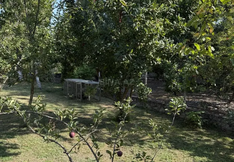 5 300 AZN - 8 sot Torpaq Satılır, İsmayıllı