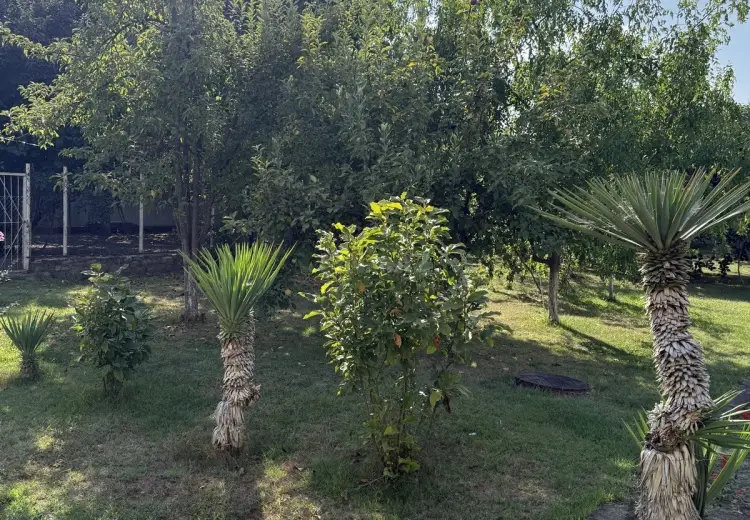 5 300 AZN - 8 sot Torpaq Satılır, İsmayıllı