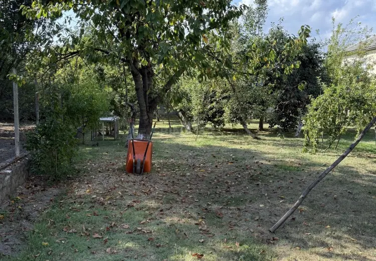 5 300 AZN - 8 sot Torpaq Satılır, İsmayıllı