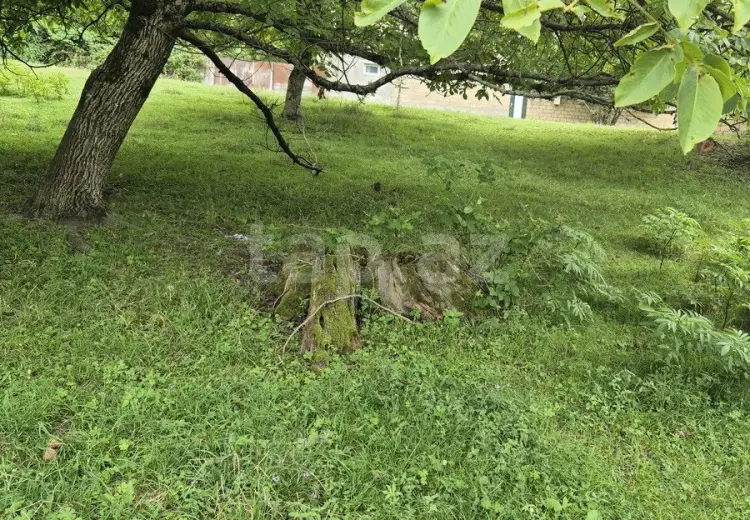 48 000 AZN - 0 m² Obyekt / Ofis , Qəbələ