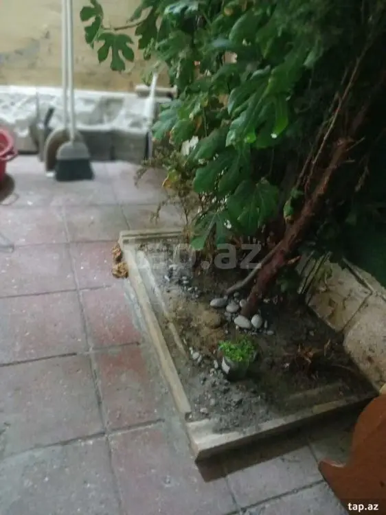 350 AZN - 2 otaqlı mənzil Kirayə (aylıq), Xətai, Bakı