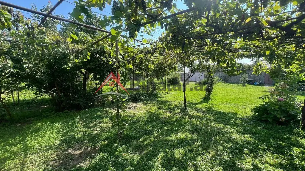 80 AZN - 3 otaqlı mənzil Kirayə (aylıq), Qax