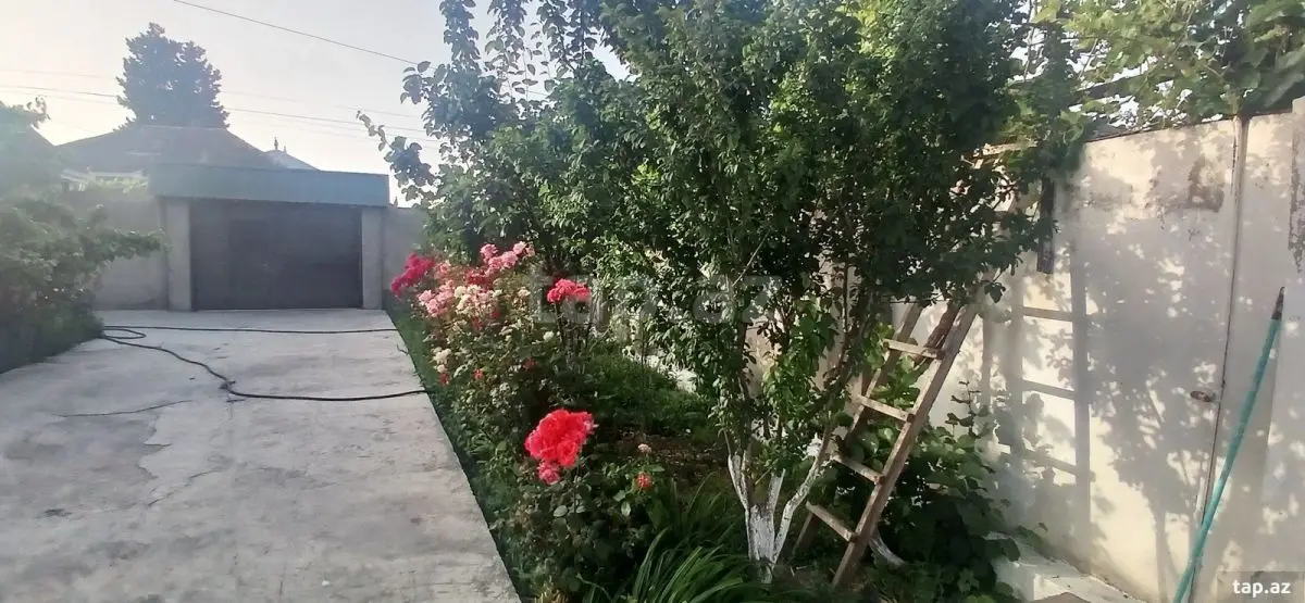 750 AZN - 6 otaqlı mənzil Kirayə (aylıq), Xaçmaz