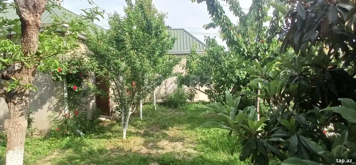 750 AZN - 6 otaqlı mənzil Kirayə (aylıq), Xaçmaz