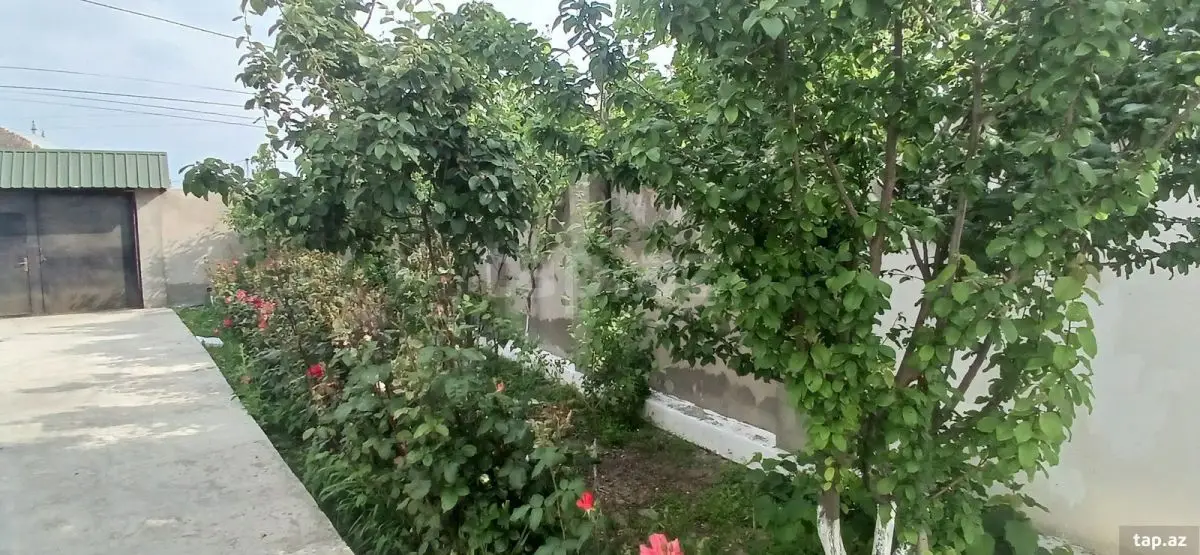 750 AZN - 6 otaqlı mənzil Kirayə (aylıq), Xaçmaz