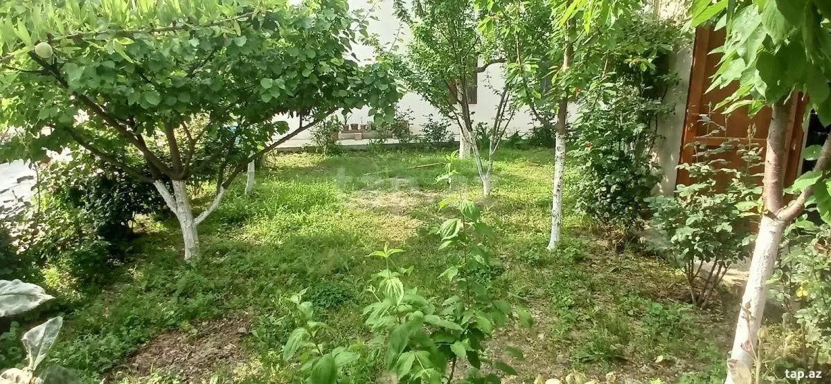 750 AZN - 6 otaqlı mənzil Kirayə (aylıq), Xaçmaz