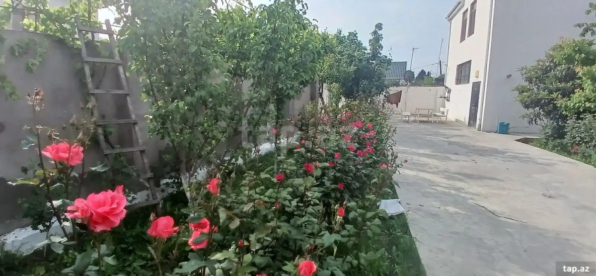 750 AZN - 6 otaqlı mənzil Kirayə (aylıq), Xaçmaz