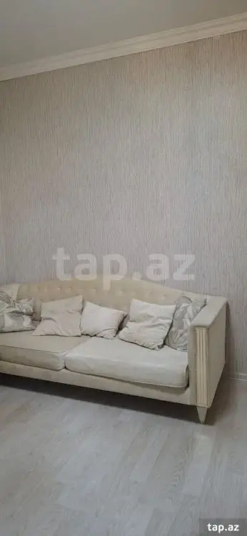 300 AZN - 2 otaqlı mənzil Kirayə (aylıq), Zaqatala