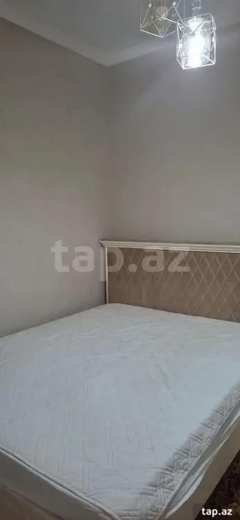 300 AZN - 2 otaqlı mənzil Kirayə (aylıq), Zaqatala