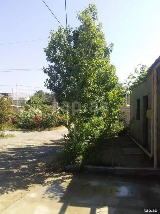180 AZN - 1 otaqlı mənzil Kirayə (aylıq), Hövsan qəs., Suraxanı, Bakı